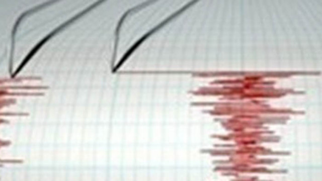 Земетресение с магнитуд 5,5 край Индонезия
