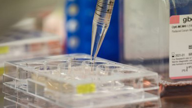 Над 950 000 са заразени с COVID-19 в Русия