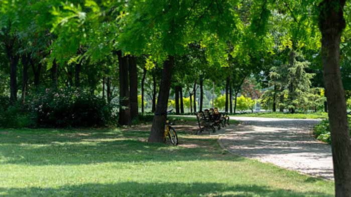 Хороскоп за 23 август 2020 г.