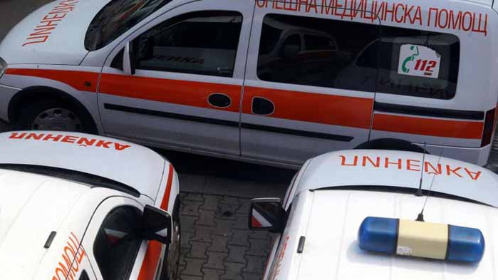Дете е с над 100 шева, беше нахапано от домашно куче