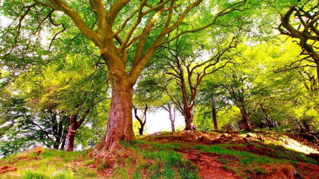 Хороскоп за 24 август 2020 г.