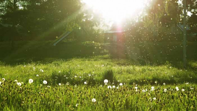 Хороскоп за 26 август 2020 г.