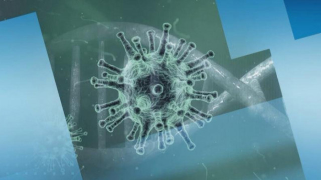 3 нови случая на COVID-19 в област Русе