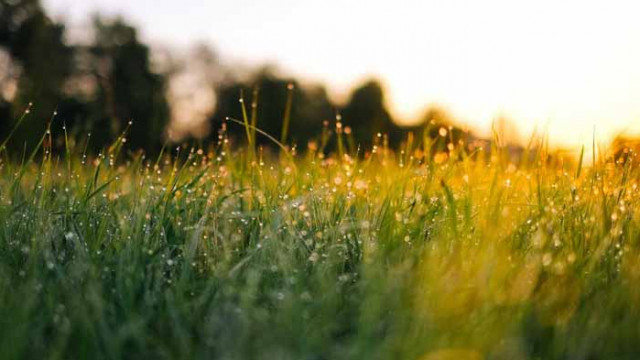 Хороскоп за 27 август 2020 г.