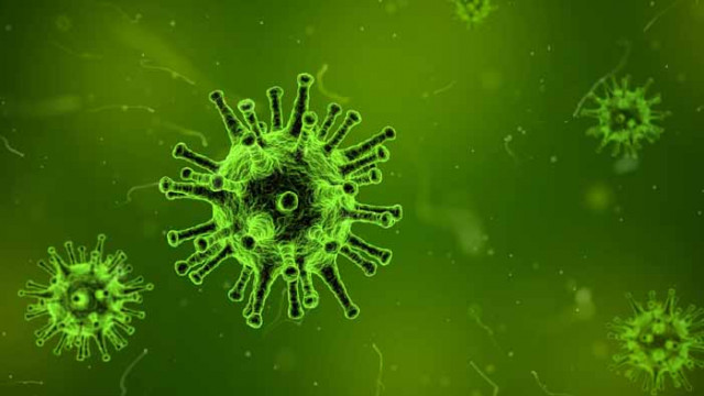 Нови 162 случая на COVID-19 у нас