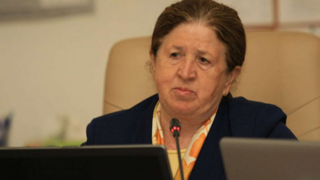Председателката на ЦИК подаде оставка
