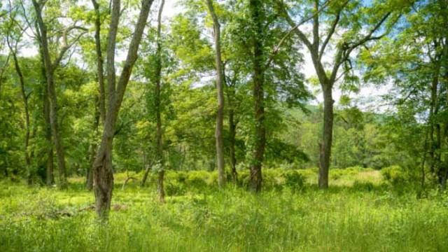 Хороскоп за 28 август 2020 г.