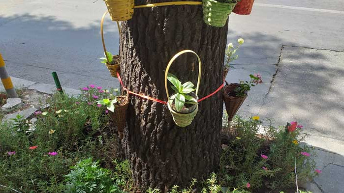 Търговци облагородиха част от улица „д-р Пискюлиев“ във Варна