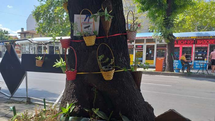 Търговци облагородиха част от улица „д-р Пискюлиев“ във Варна