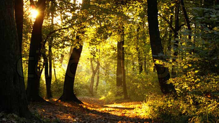 Хороскоп за 30 август 2020 г.