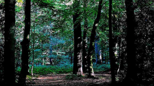 Хороскоп за 31 август 2020 г.