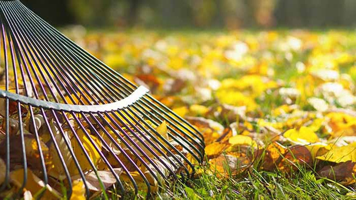 Хороскоп за 1 септември 2020 г.