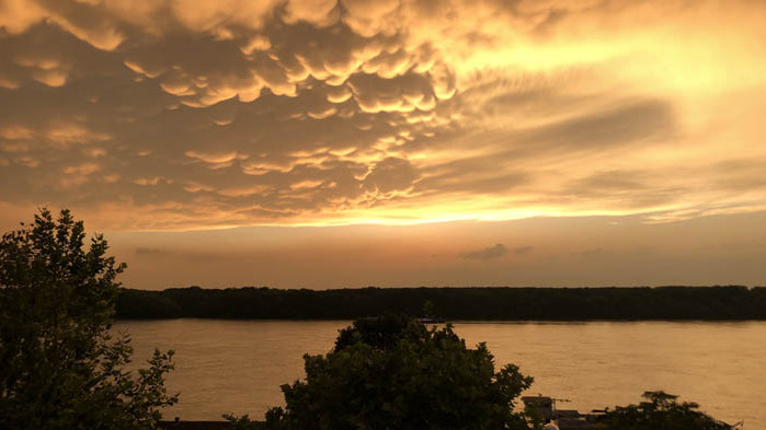 Обявяват конкурс детска творба посветена на 29 юни – Международен ден на река Дунав