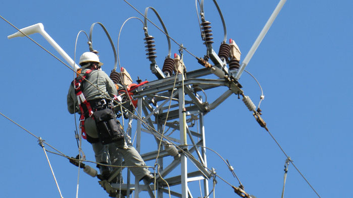 Проект на EVN "Живот за царския орел" с номинация за награда от ЕК