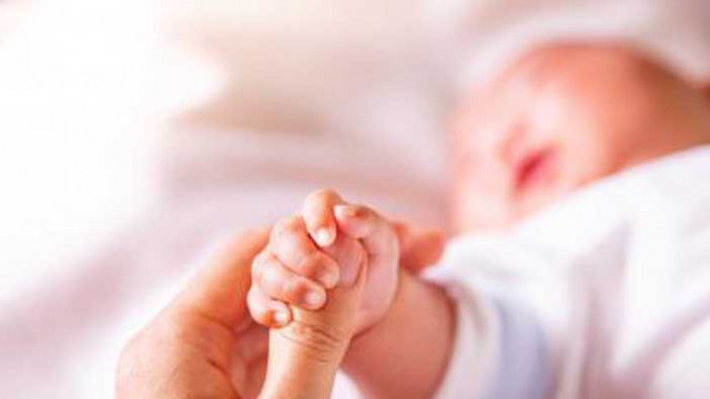 Бейби бум сред варненските адвокати