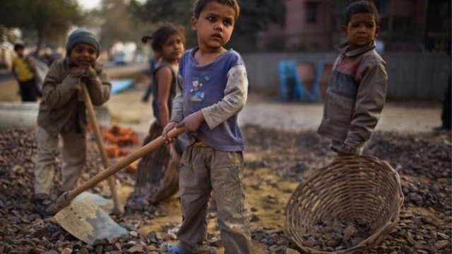 МОТ призовава: Защитете децата от детския труд, сега повече от всякога