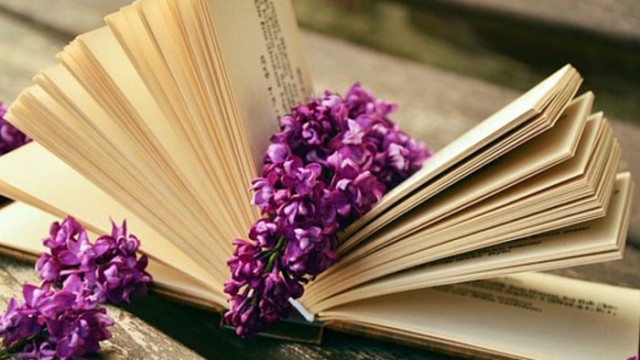 20 от най-мъдрите български поговорки