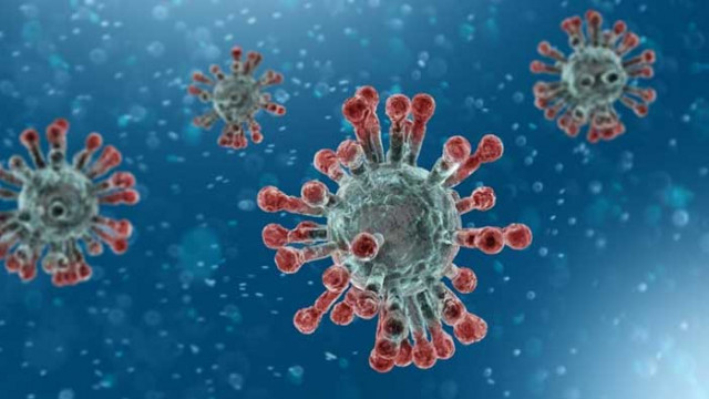 Пробите на 13-те контактни лица на медиатора от Аспарухово са отрицателни