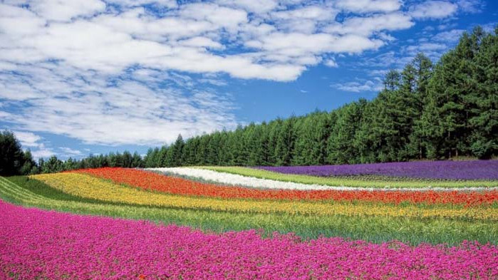 Енергията на цветовете