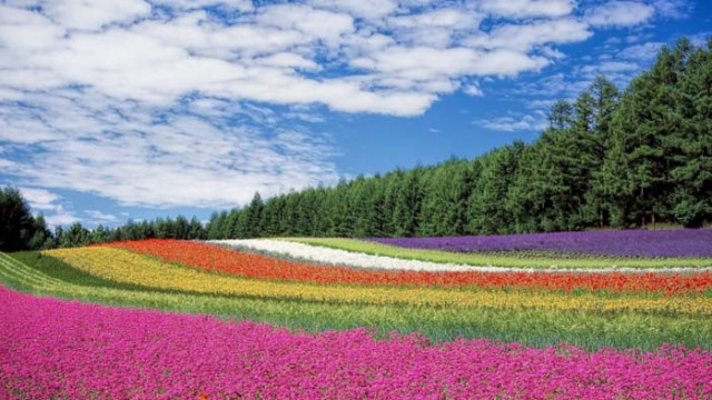 Енергията на цветовете