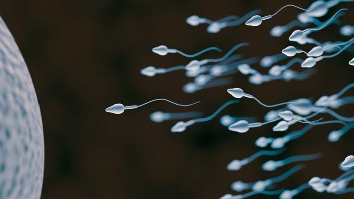 Няколко често срещани митове за спермата