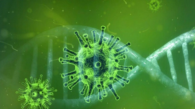 Банкер от Фед: Втора вълна на Covid-19 е напълно вероятна през есента