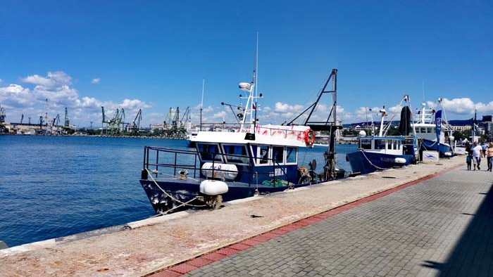 Животът навътре. Среща отблизо с Черноморския риболов (СНИМКИ)