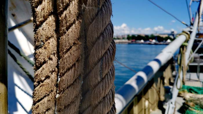 Животът навътре. Среща отблизо с Черноморския риболов (СНИМКИ)