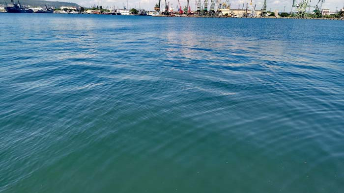 Животът навътре. Среща отблизо с Черноморския риболов (СНИМКИ)