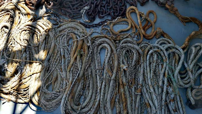 Животът навътре. Среща отблизо с Черноморския риболов (СНИМКИ)