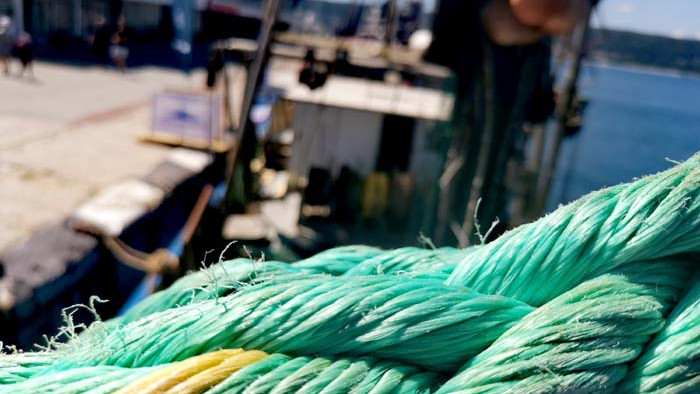 Животът навътре. Среща отблизо с Черноморския риболов (СНИМКИ)