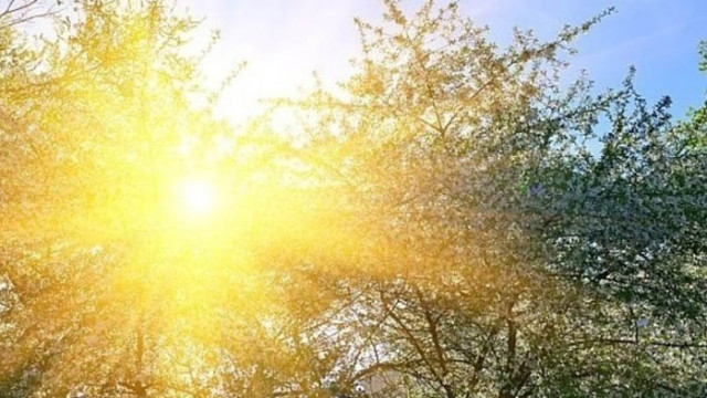 Слънчево и топло в неделя