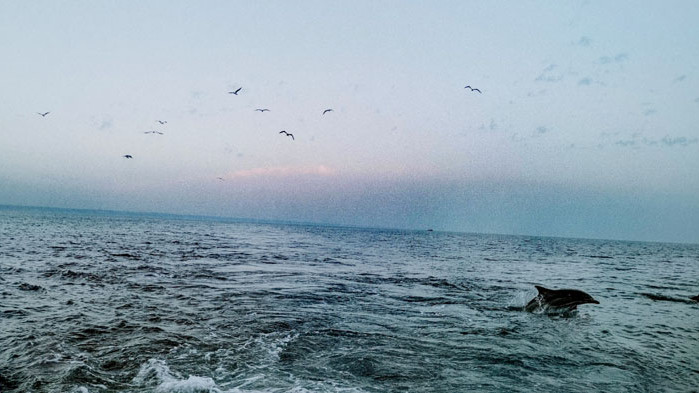 Риболовците на Варна – несгодите и солта по кожата. Истинската любов към морето (СНИМКИ)