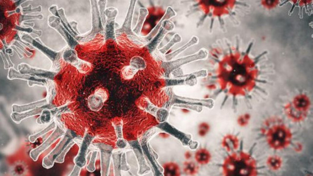 В Разградско има нови 6 случая на COVID-19, починала е една жена