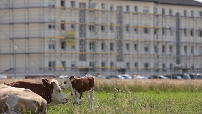 Бивш работник в кланицата „Тьонис“: Чувах колегите си да плачат през нощта