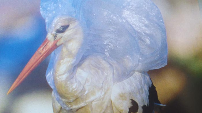 Литература срещу найлон. Кой и защо подарява книги във Варна (ВИДЕО)