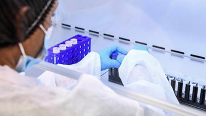 29 920 са починали от COVID-19 във Франция