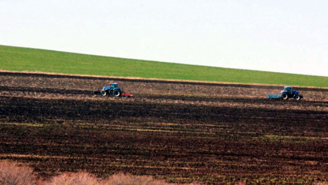 Във Варненско най-скъпа е земята в землището на Вълчи дол