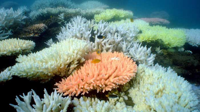 Убежище от COVID-19? За 17 млн. долара се продава спечелен на покер остров