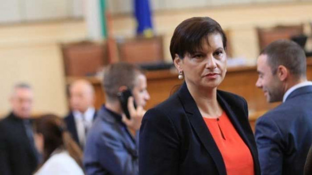 Дариткова: Нямаме притеснения да изложим контрааргументи срещу вота
