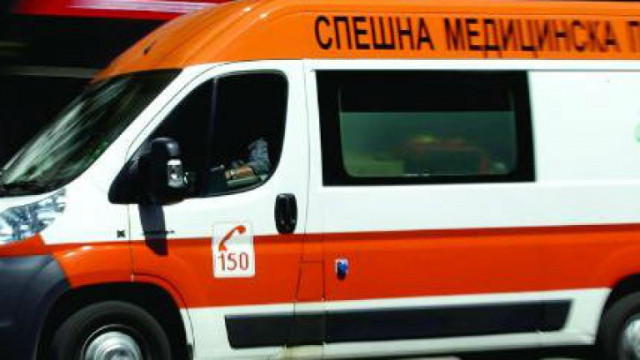 Мъж е с фрактура на черепа заради паднало дърво върху главата му