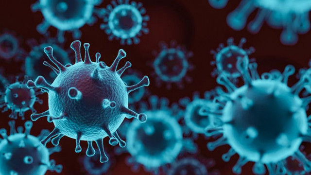 10 нови случая и 6 излекувани от COVID-19 за изминалите 24 часа в област Русе