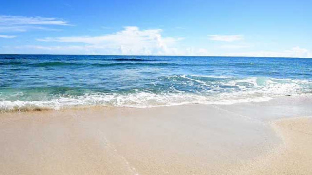 Хороскоп за 28 юли 2020 г.