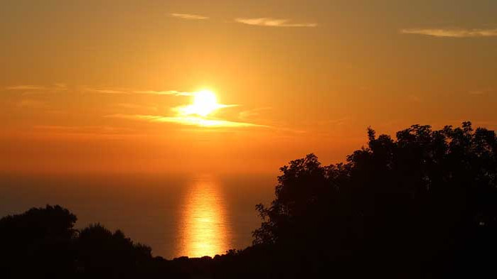 Хороскоп за 1 август 2020 г.