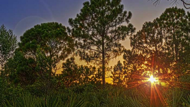 Хороскоп за 2 август 2020 г.