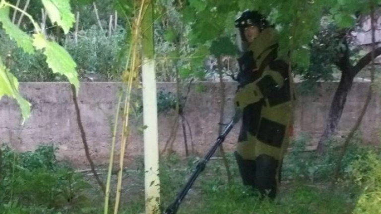 Военни унищожиха две ръчни гранати в Плевенско