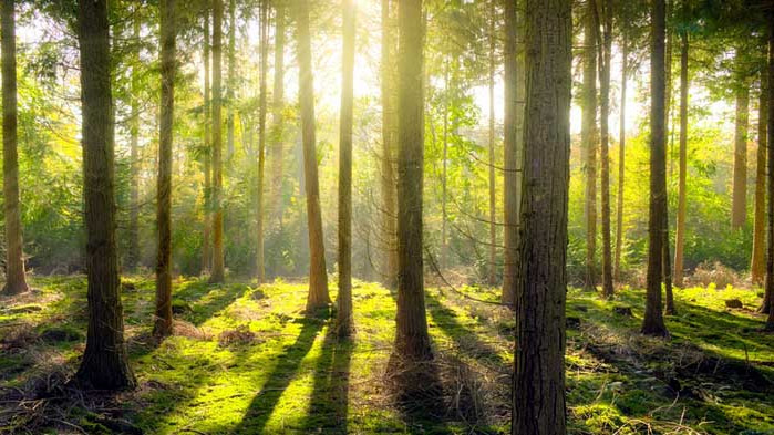 Хороскоп за 5 август 2020 г.