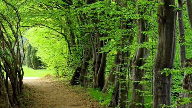 Хороскоп за 10 август 2020 г.