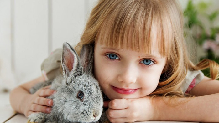 Как различните видове животни влияят на енергията на дома