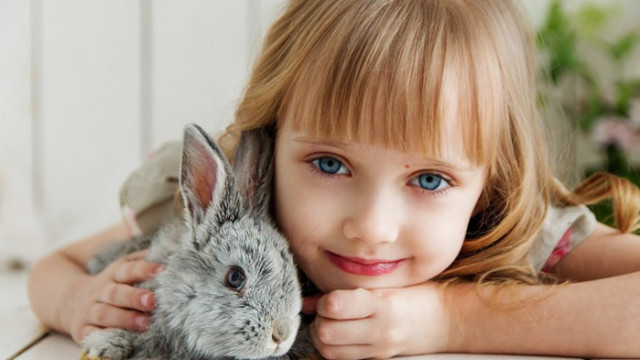 Как различните видове животни влияят на енергията на дома